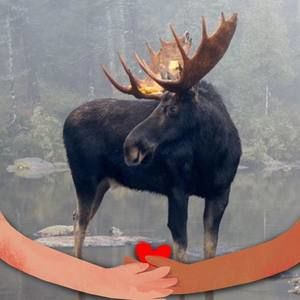 Meet your Posher, Carolyn